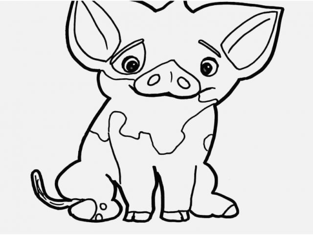 Moana Coloring Pages Gallery Pua Pig From Moana Coloring Page Free 640x480 Moana Coloring Pages Gallery Pua Pig From Moana Coloring Page Free