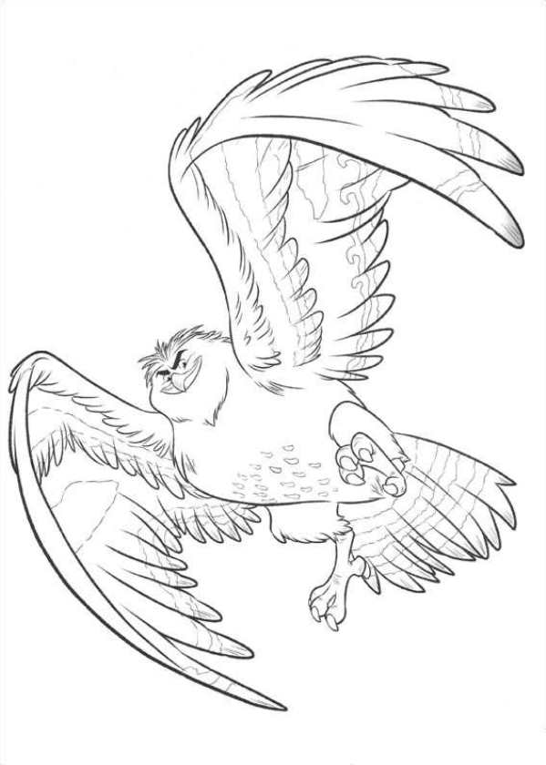 Moana Maui The Eagle Coloring Pages 599x840 Moana Maui The Eagle Coloring Pages