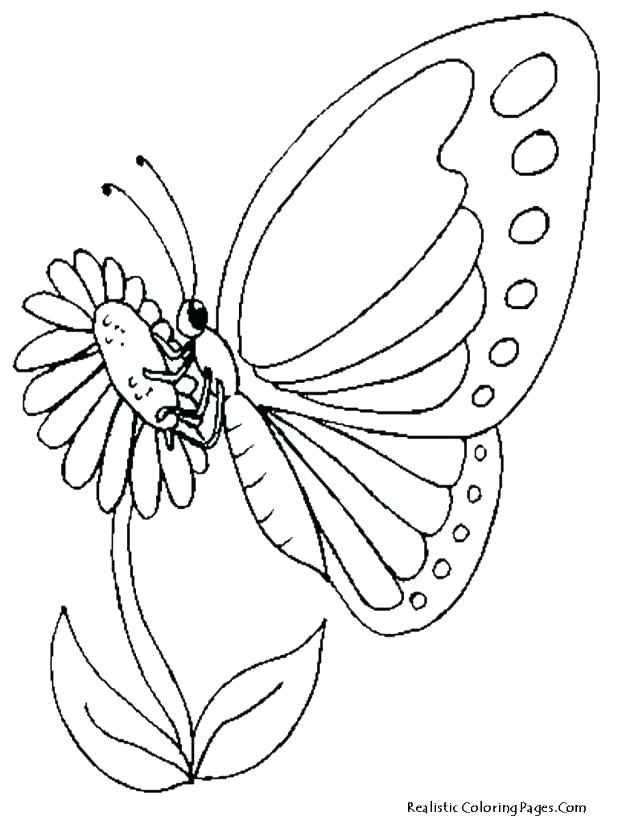 618x824 Mockingbird Coloring Page Free Printable Coloring State Bird