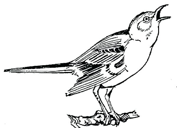 600x436 Texas Flag Coloring Page Kids Coloring Singing Mockingbird