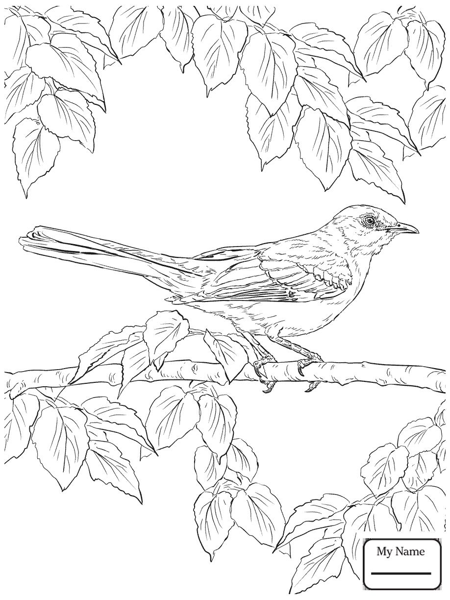 918x1224 Unique Texas Flower Coloring Pages Design Printable Coloring Sheet