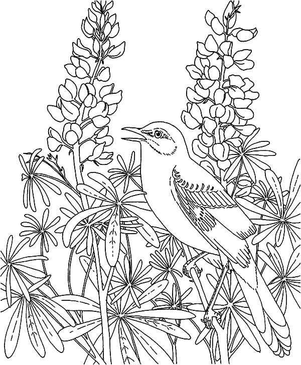 600x728 Flower Garden Coloring Page Mockingbird In The Flower Garden