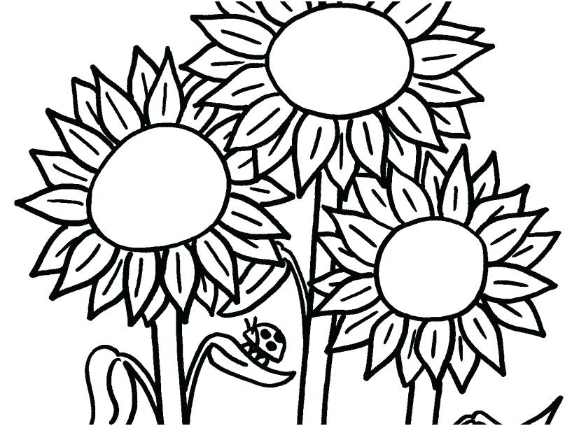 Modern Art Coloring Pages Coloring Page Flowers Farm Signs Modern 827x609 Modern Art Coloring Pages Coloring Page Flowers Farm Signs Modern