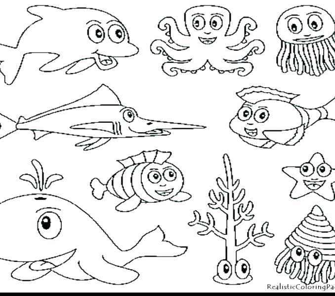 678x600 Ocean Habitat Coloring Pages