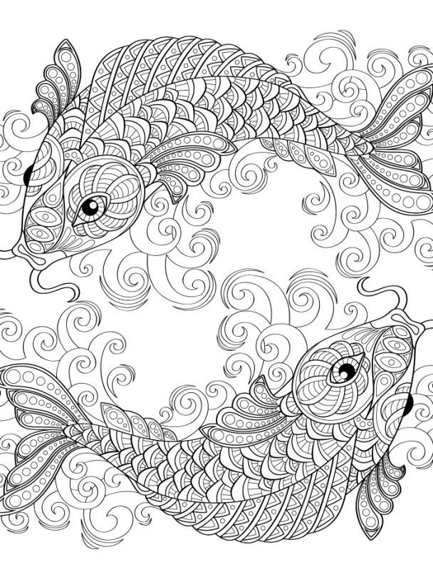 608x802 Bold And Modern Cichlid Animal Coloring Pages Baby Seal Coloring