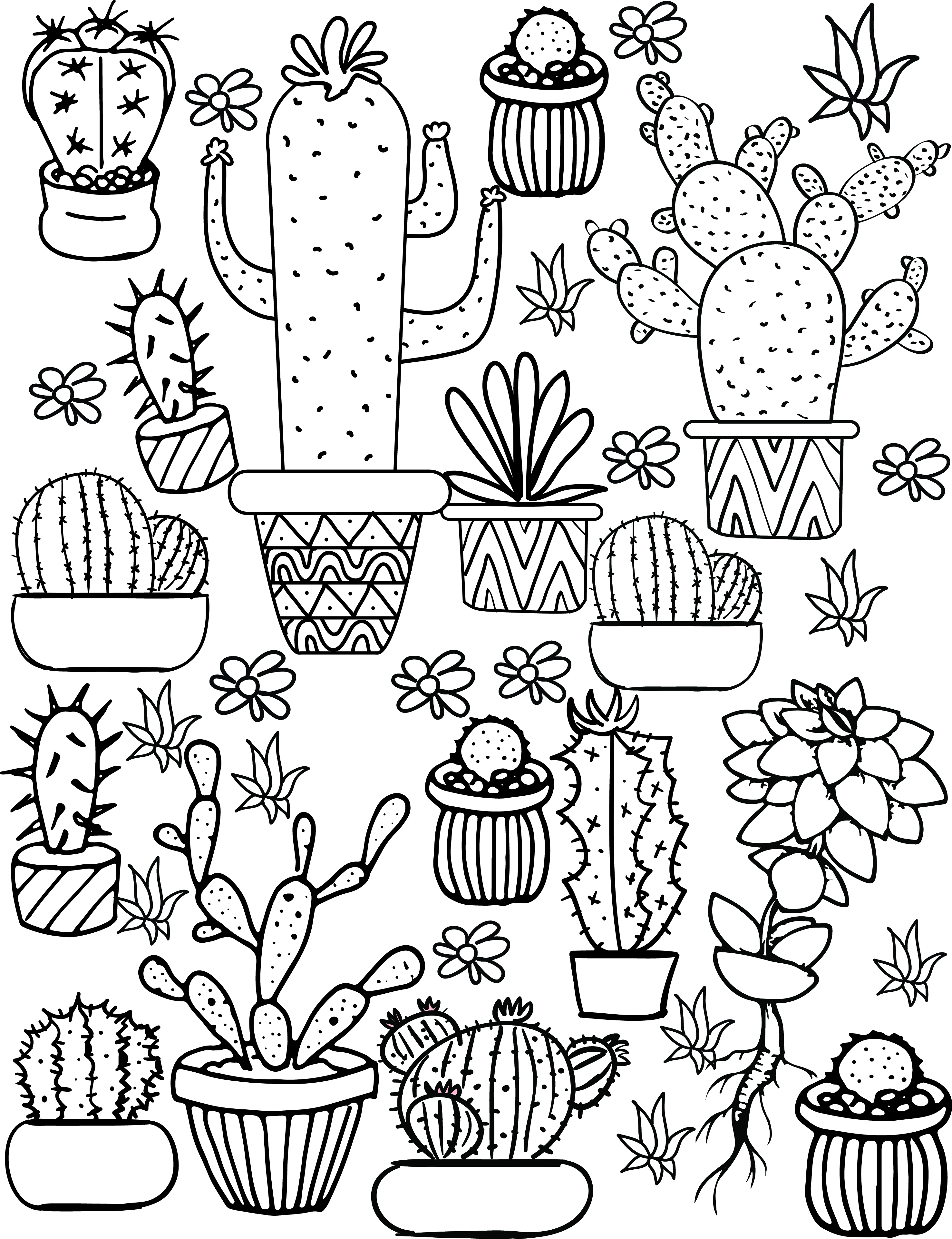 2954x3843 Cactus And Succulent Printable Adult Coloring Pages