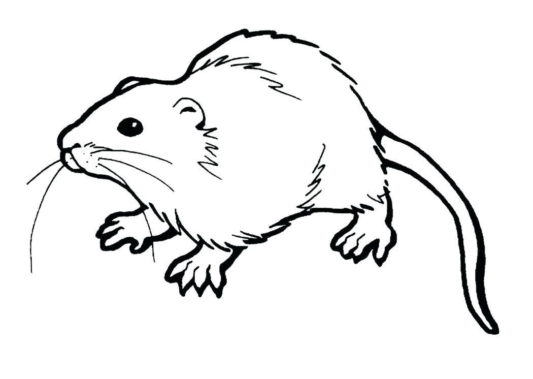 Mole Coloring Page Index Coloring Pages Mole Crab Coloring Page 1050x746 Mole Coloring Page Index Coloring Pages Mole Crab Coloring Page