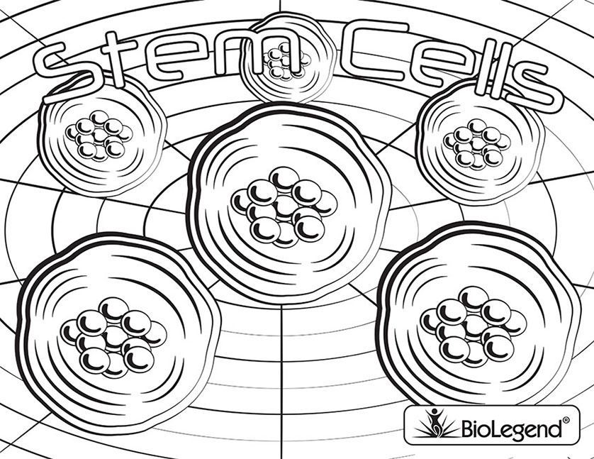 Biolegend Legendary Coloring Book 838x647 Biolegend Legendary Coloring Book