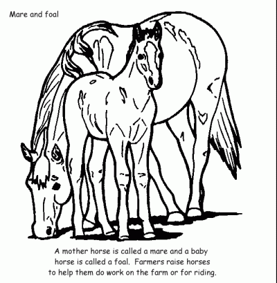 Farm Animal Coloring Pages 400x409 Farm Animal Coloring Pages