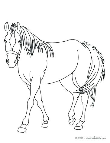 Mom And Baby Horse Coloring Pages at GetColorings.com | Free printable ...