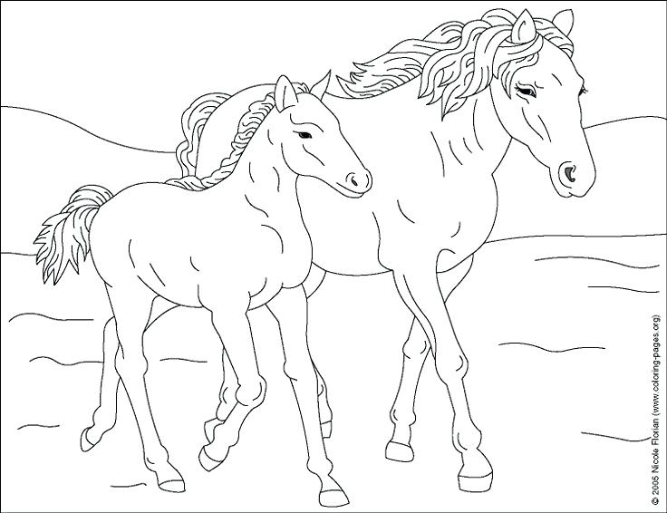 Mother Horse Foal Coloring Pages Free Horse Coloring Pages 736x566 Mother Horse Foal Coloring Pages Free Horse Coloring Pages