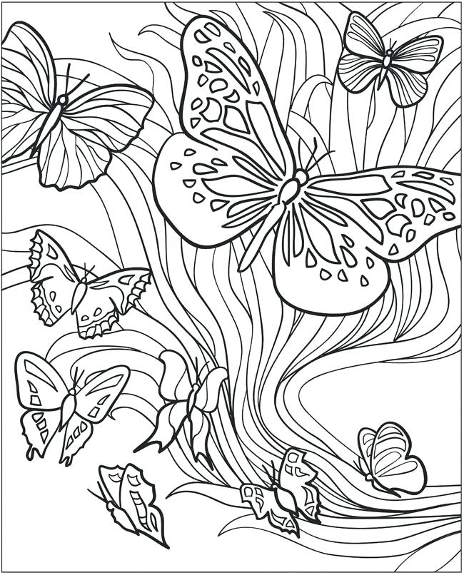 Monarch Butterfly Coloring Pages