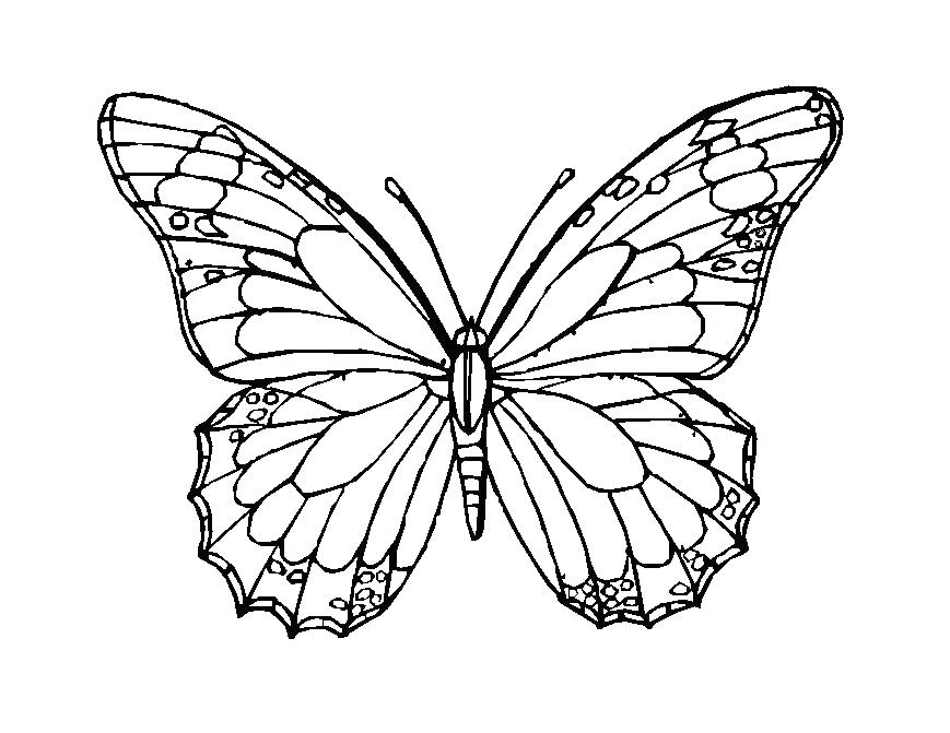 869x671 Delivered Monarch Butterfly Coloring Page Book Pages To Print