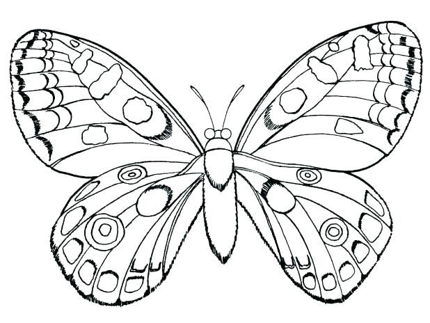 618x464 Monarch Butterfly Coloring Pages Butterfly Coloring Pages To Print