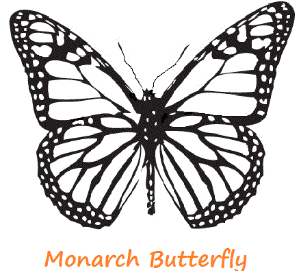 440x404 Monarch Butterfly Template Printable Coloring Page