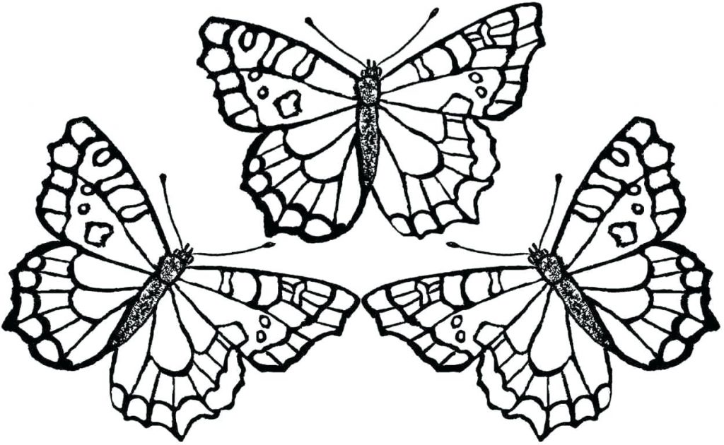 1024x630 Coloring Pages ~ Free Butterfly Coloring Pages In Monarch Sheets