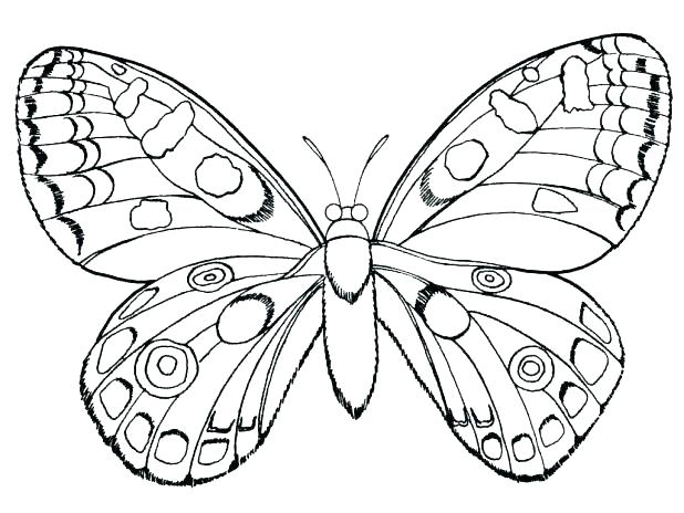 618x464 Butterfly Coloring Pages Butterflies Coloring Page Awesome Monarch