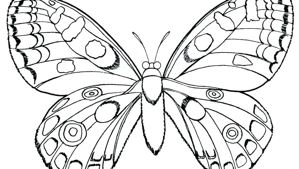 960x544 Butterfly Coloring Pages Color Page Butterfly Color Page Butterfly