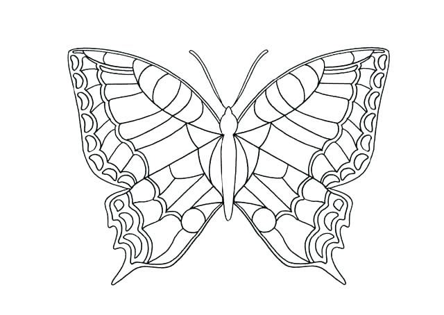640x454 Butterfly Life Cycle Coloring Pages Free Butterfly Coloring Pages