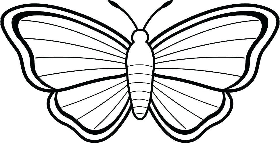 974x499 Butterfly Printable Coloring Pages Monarch Butterfly Coloring
