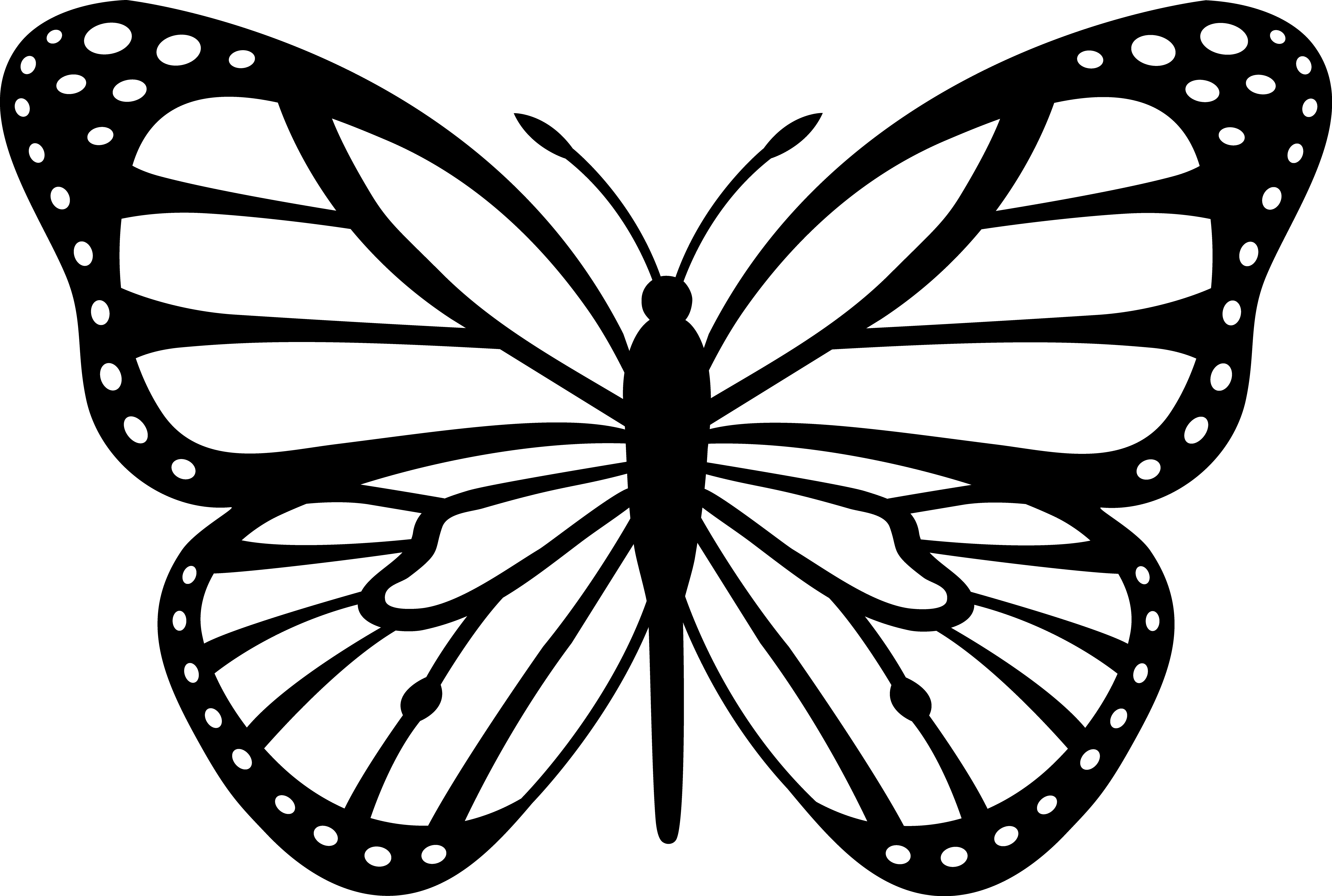 5920x3982 Delivered Monarch Butterfly Coloring Sheet Pag