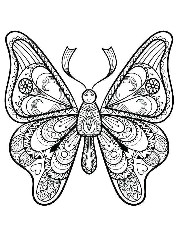 618x816 Free Printable Butterfly Coloring Pages For Adults Images To Color