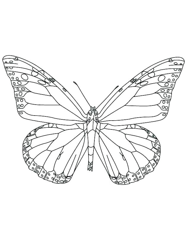 630x810 Free Printable Monarch Butterfly Coloring Pages Beautiful Page O