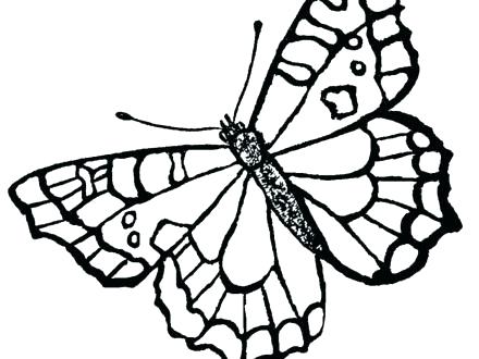440x330 Life Cycle Of A Butterfly Coloring Page Monarch Butterfly Coloring