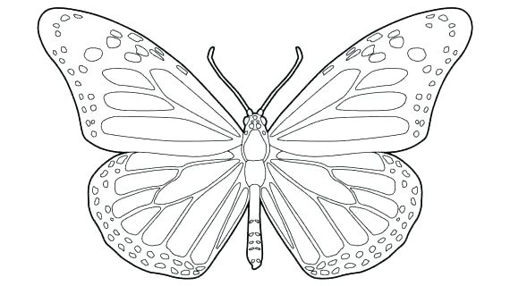 570x320 Monarch Butterfly Coloring Page Butterfly Coloring Pages Butterfly