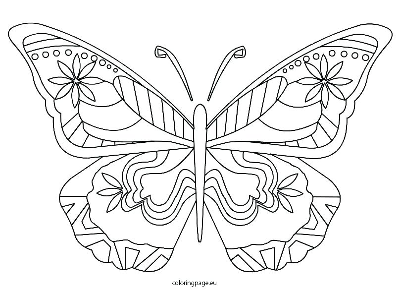 808x595 Monarch Butterfly Coloring Pages Butterfly Color Pages Monarch