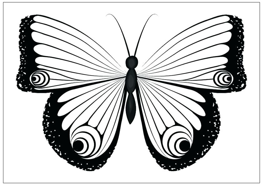 842x595 Monarch Butterfly Coloring Pages Butterfly Coloring Page Also