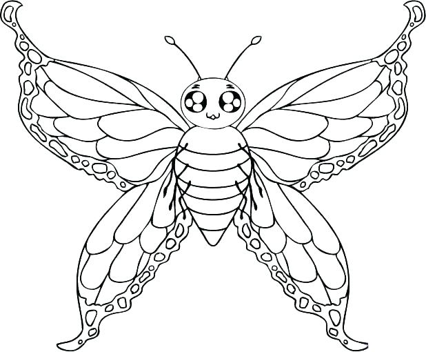 618x510 Printable Butterfly Coloring Pages