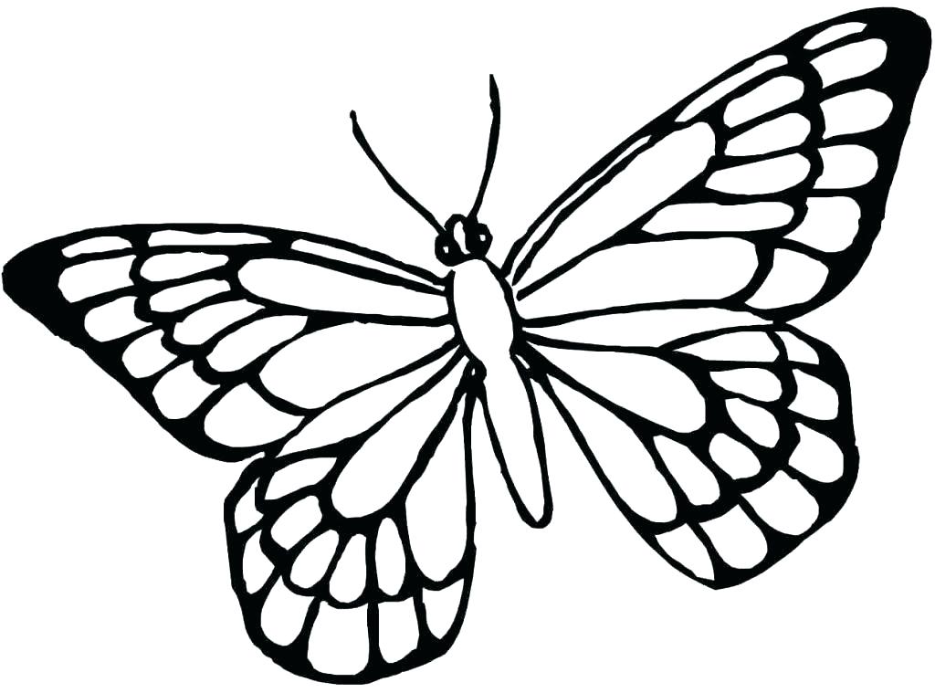 1024x759 Butterfly Coloring Pages For Adults Butterfly Color Page Monarch