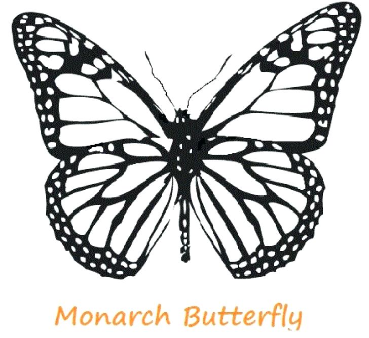 728x668 Color Page Butterfly Monarch Butterfly Coloring Pages Free Color
