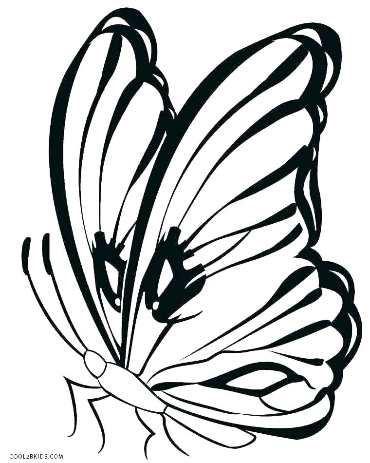 760x950 Colouring Pages Butterfly Wings Monarch Coloring Page Free