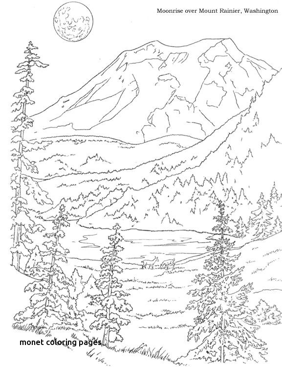 577x750 Woods Landscape Coloring Pages Google Search For Monet Coloring