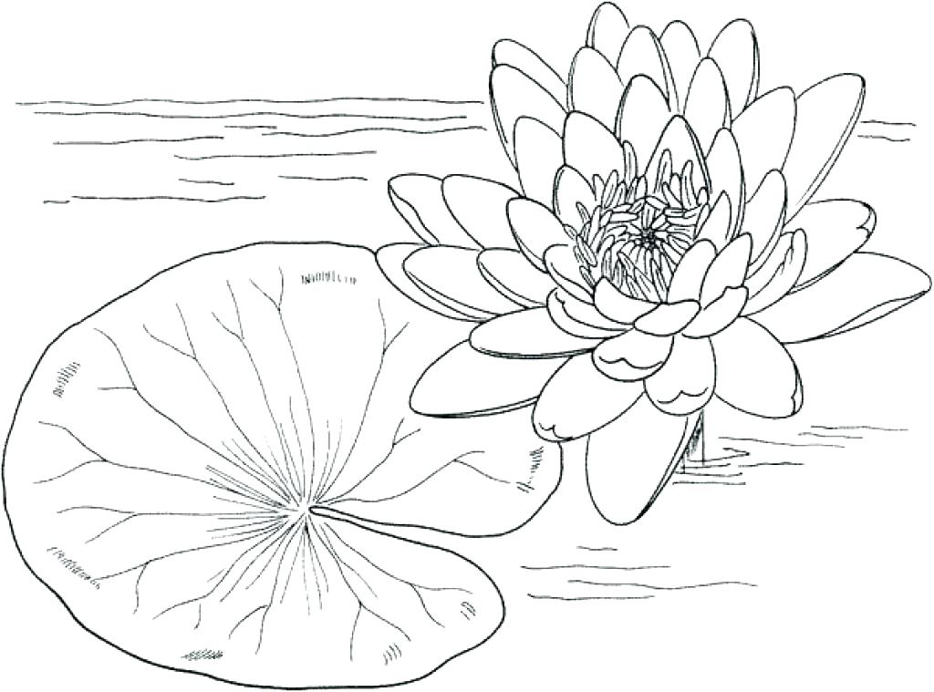 1024x759 Claude Monet Coloring Pages Coloring Pages Beautiful Coloring