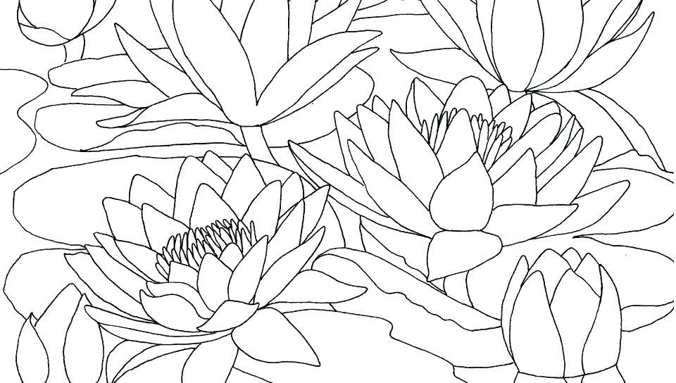 960x544 Claude Monet Coloring Pages Coloring Pages Coloring Pages Luxury