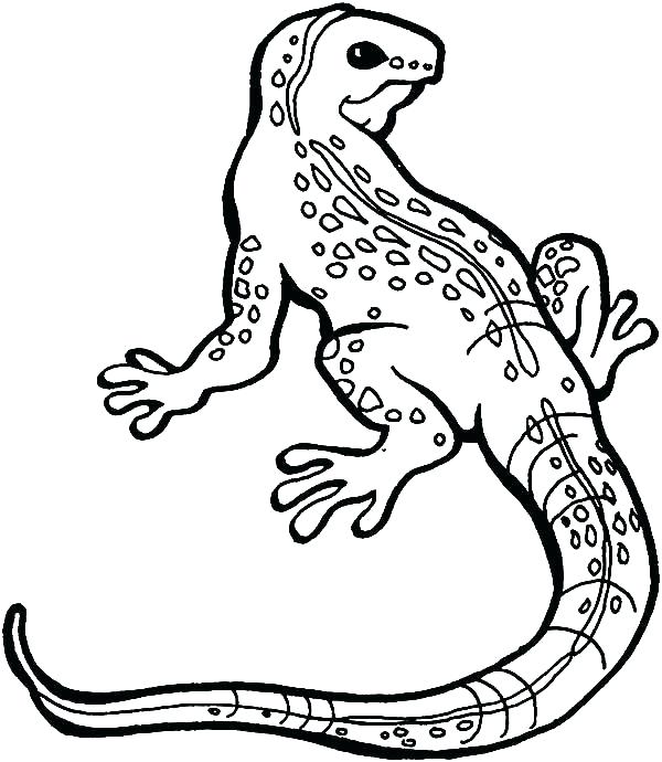 Iguana Coloring Pages Coloring Iguana Coloring Pages Lizard Great 600x690 Iguana Coloring Pages Coloring Iguana Coloring Pages Lizard Great