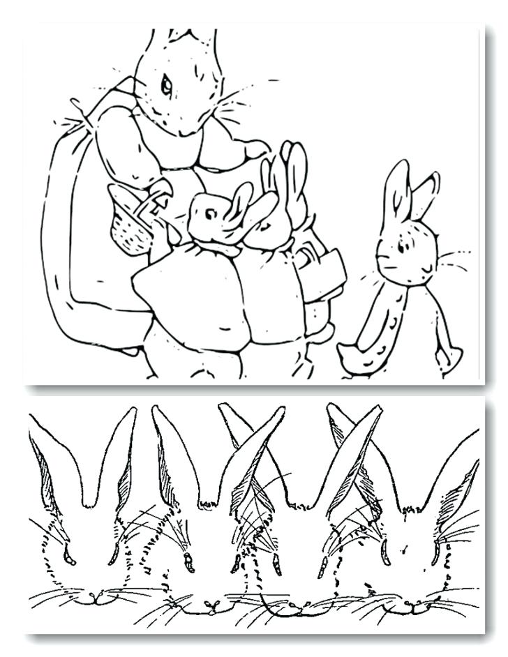 New Peter Rabbit Coloring Pages Printable Coloring Peter Rabbit 728x942 New Peter Rabbit Coloring Pages Printable Coloring Peter Rabbit