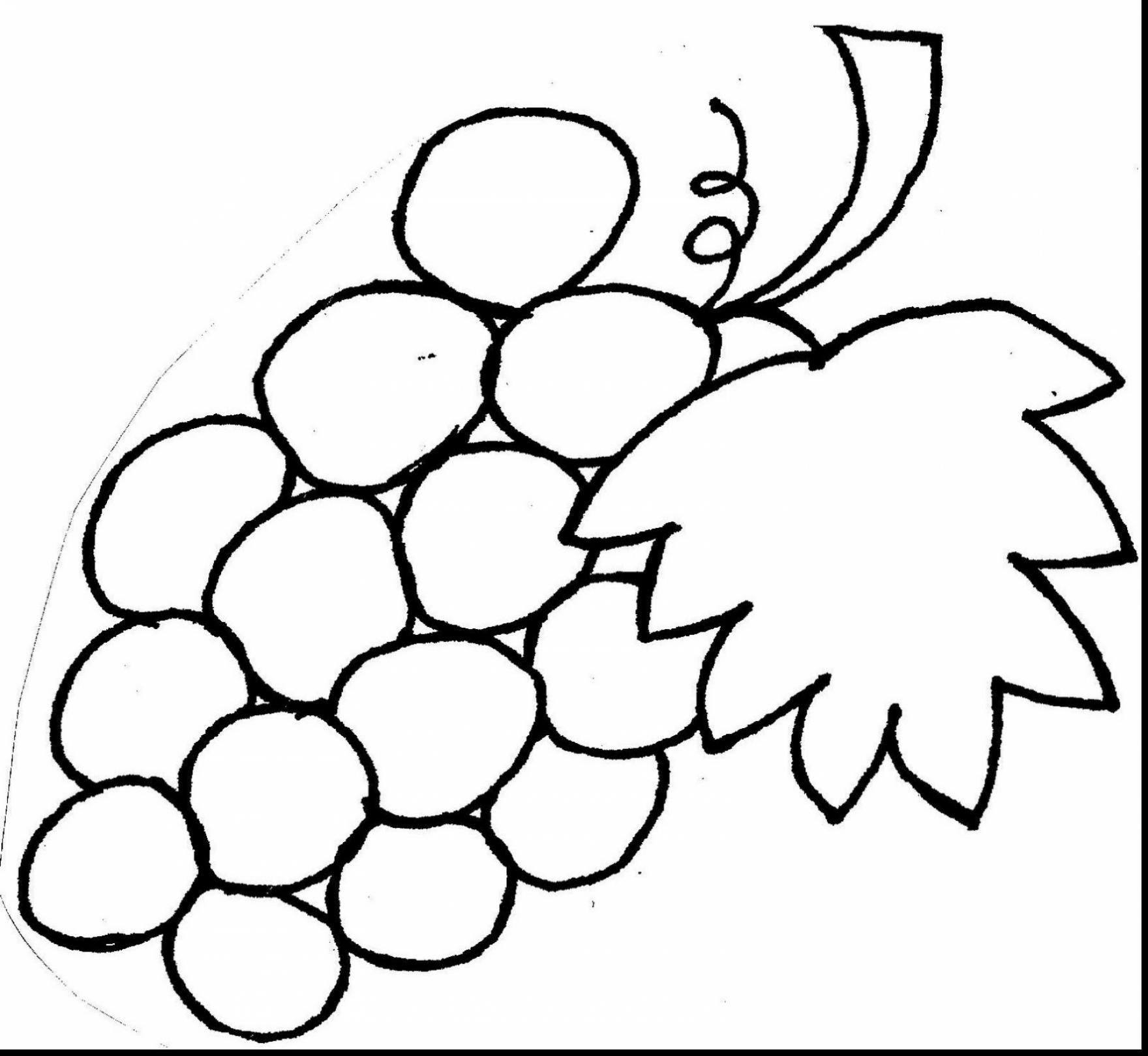 Grapes Coloring Page With Wallpaper Dual Monitor Mayapurjacouture 1760x1620 Grapes Coloring Page With Wallpaper Dual Monitor Mayapurjacouture
