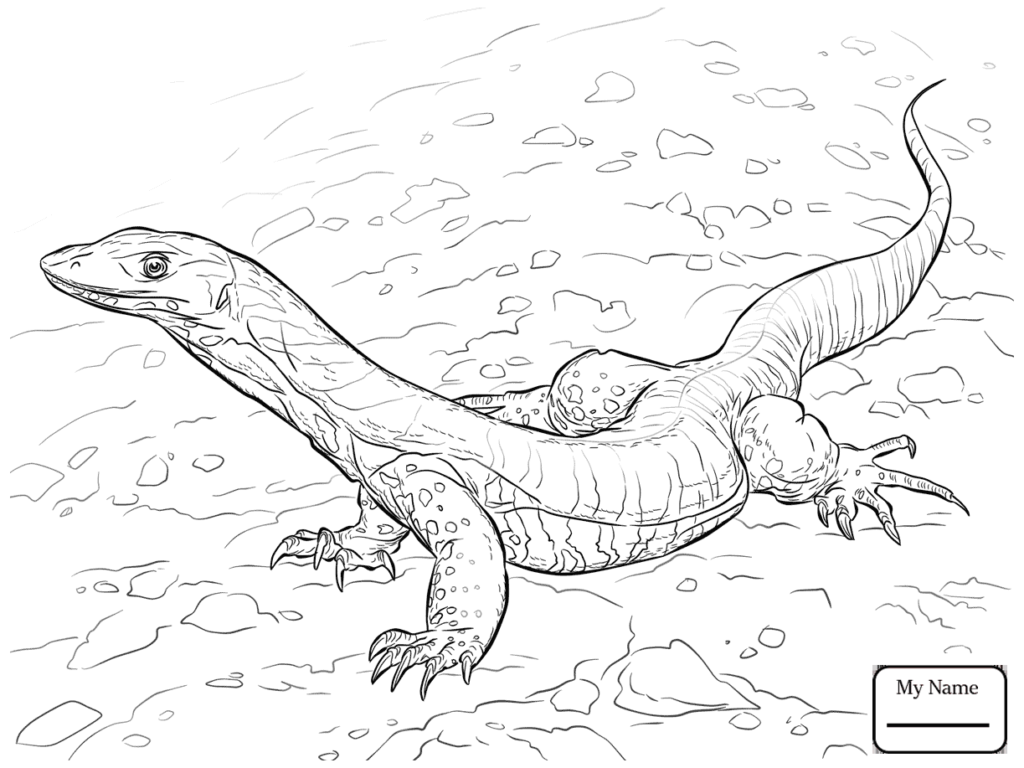 1024x768 Coloring Pages Reptiles Komodo Dragon Monitor Lizard And Page