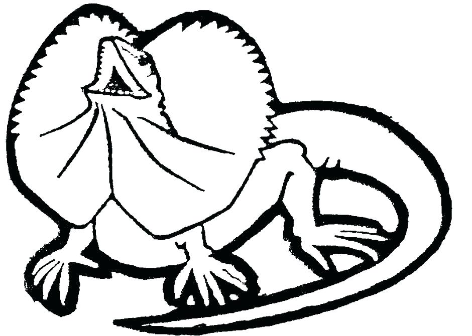 940x670 Lizard Coloring Pages Lizards Coloring Pages Lizard Coloring Page