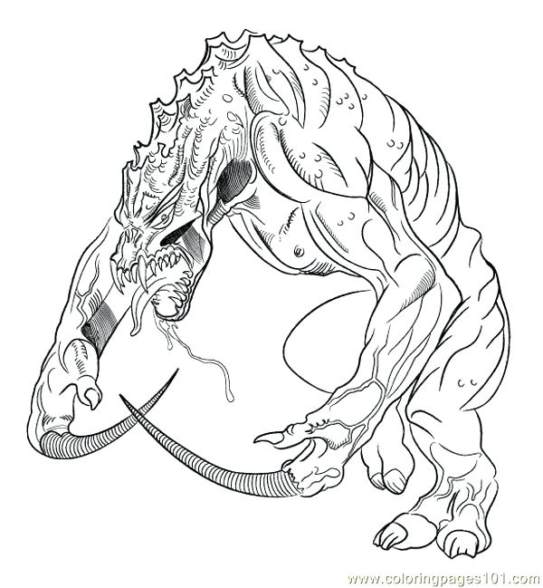 600x649 Monitor Lizard Coloring Pages Lizard Coloring Pages Lizard