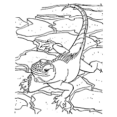 230x230 Top 10 Free Printable Lizard Coloring Pages Online