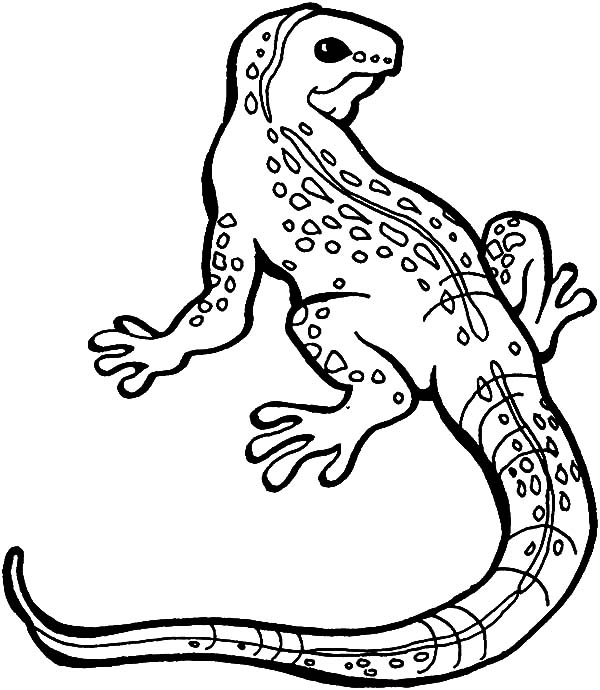 600x690 Great Monitor Lizard Coloring Pages