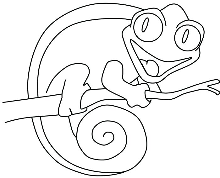 700x568 Lizard Coloring Page Funny Lizard Coloring Page Template Monitor