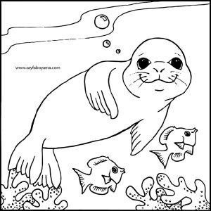 300x300 Free Monk Seal Printable Coloring Pages For Preschool Archives