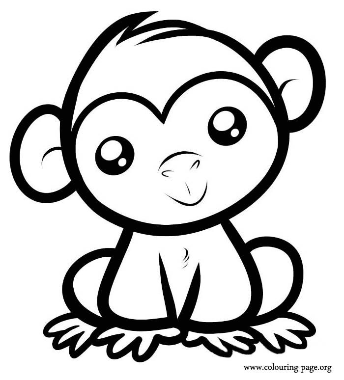 700x774 Impressive Monk Nice Monkey Coloring Book