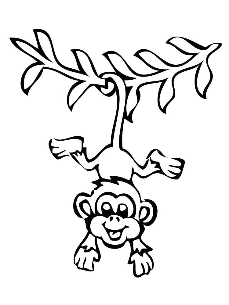 Free Monkey Coloring Pages Free Printable Monkey Coloring Pictures 750x1000 Free Monkey Coloring Pages Free Printable Monkey Coloring Pictures